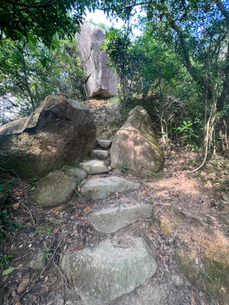 The Lion Rock (獅子山): HK urban hike