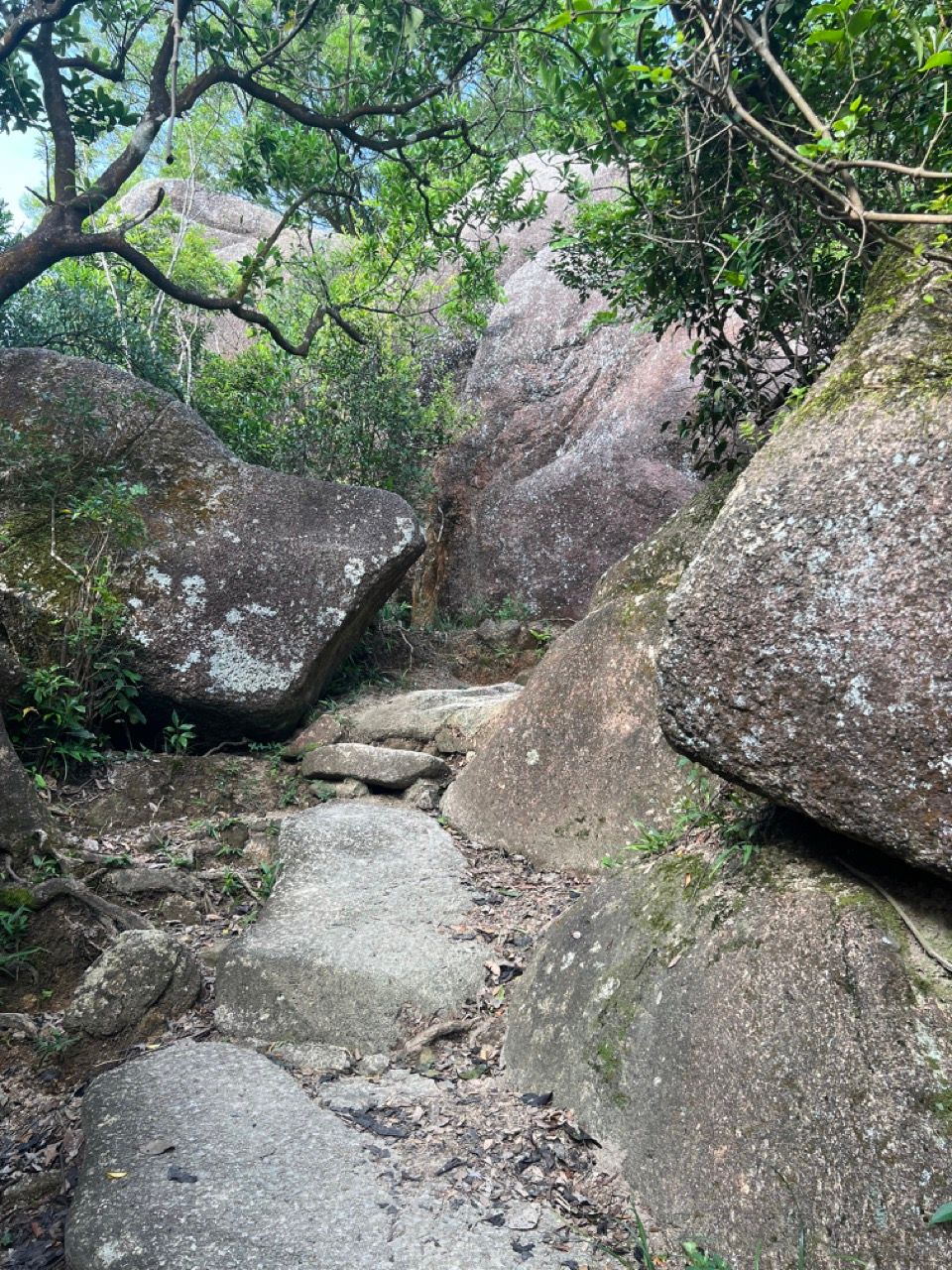 The Lion Rock (獅子山): HK urban hike