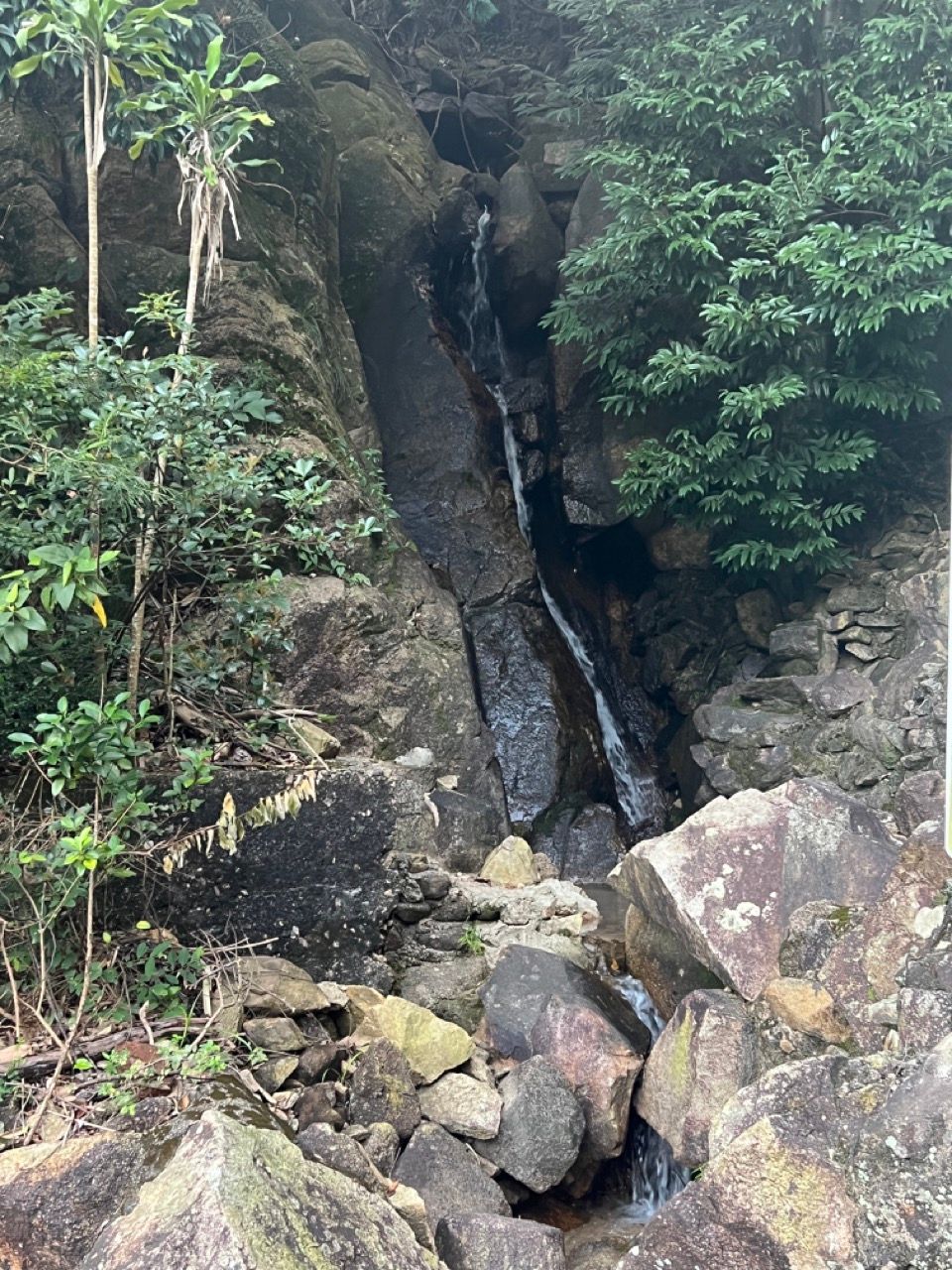 The Lion Rock (獅子山): HK urban hike