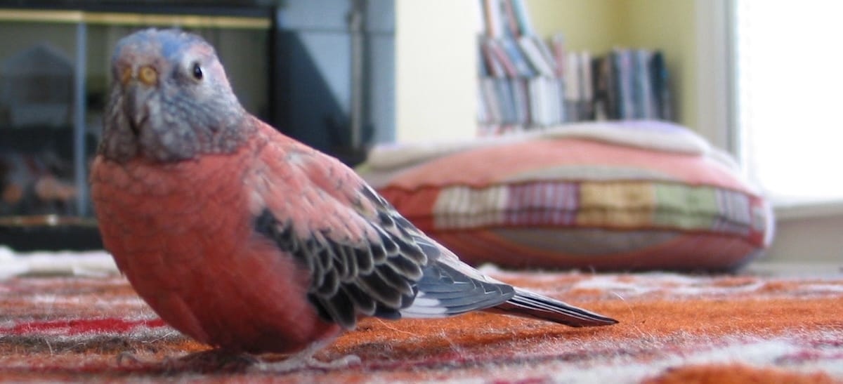 Inhibitions of an Entrepreneur and Best Kept Secrets